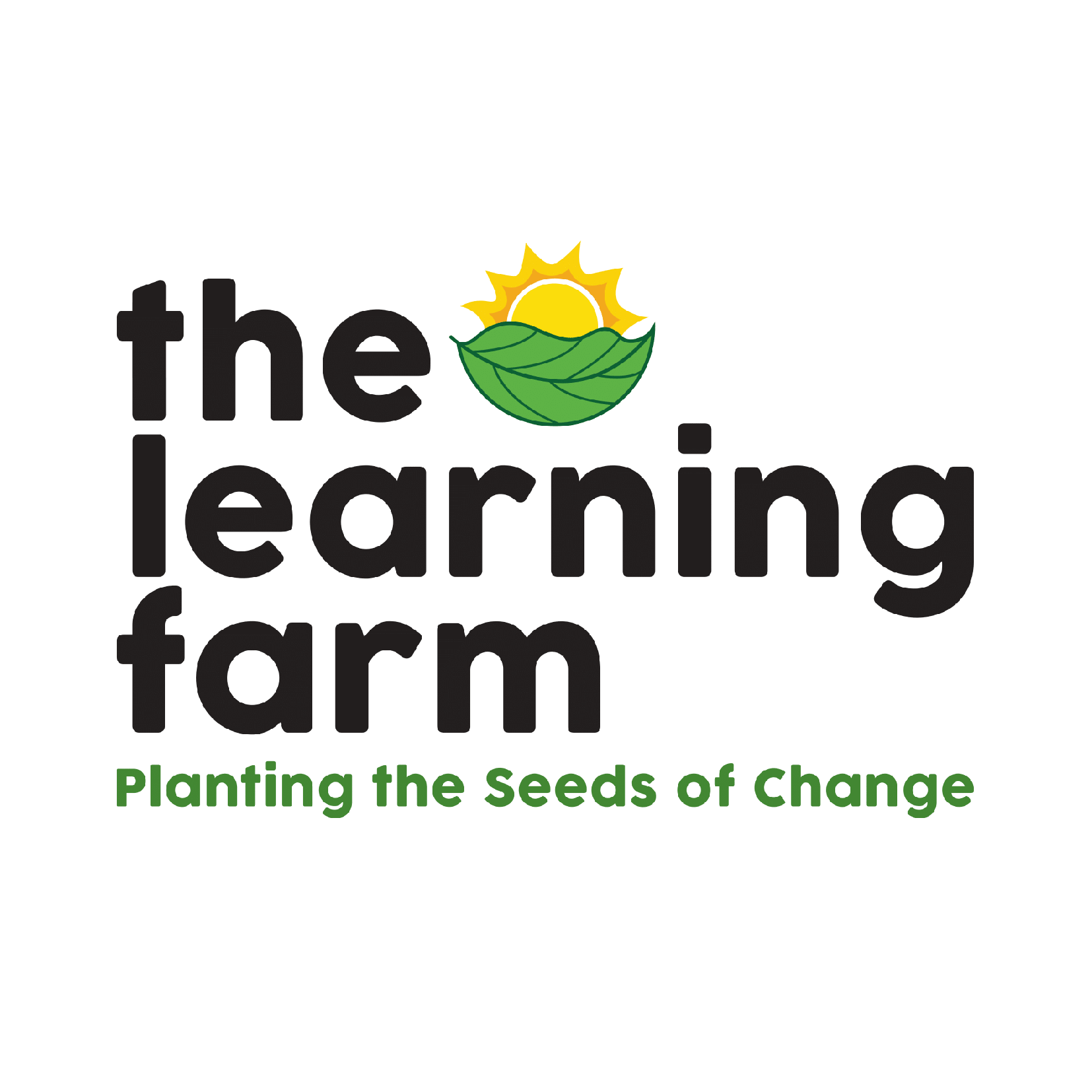 c60e25_3969f3f6b97e42ffb760a3c60b97a69e~mv2